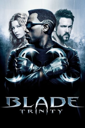 Blade Trinity (2004) 100mb Hindi Dual Audio movie Download HD Poster Download - filmyfly