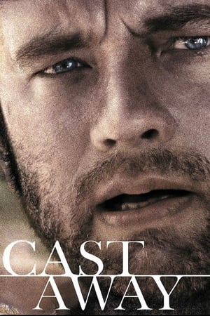 Cast Away 2000 Hindi Dual Audio [1GB] ESubs HD Poster Download - filmyfly