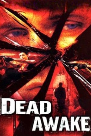 Dead Awake 2001 Hindi Dual Audio 300MB HD Poster Download - filmyfly