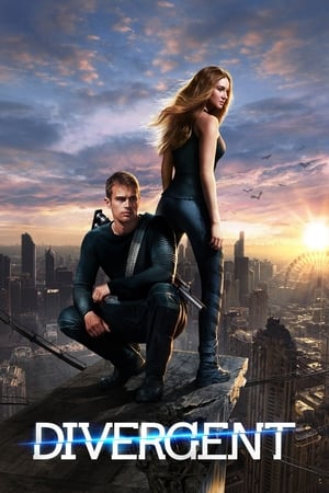 Divergent (2014) 100mb Hindi Dual Audio movie Download HD Poster Download - filmyfly