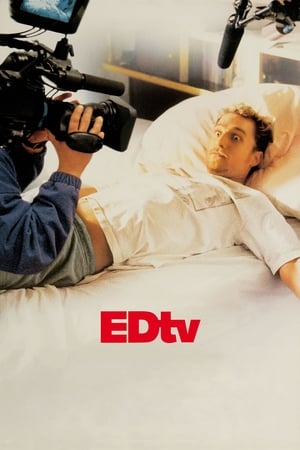 Edtv (1999) Hindi Dual Audio 350MB HD Poster Download - filmyfly