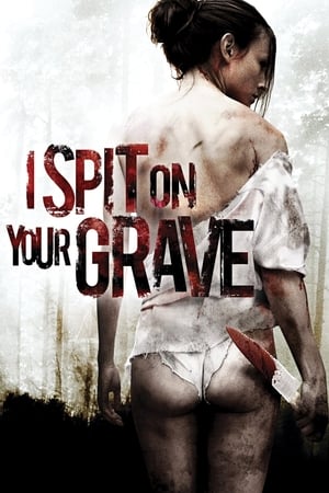 I Spit on Your Grave 2010 Hindi Dual Audio 330MB HD Poster Download - filmyfly