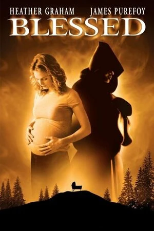 Blessed 2004 Hindi Dual Audio HD Poster Download - filmyfly