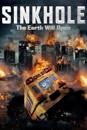 Sink Hole 2013 Hindi Dual Audio [1GB] HD Poster Download - filmyfly