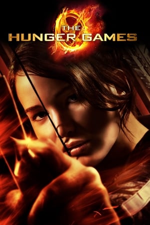The Hunger Games 2012 Hindi Dual Audio [1.1GB] HD Poster Download - filmyfly