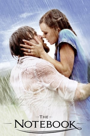 The Notebook 2004 Dual Audio Hindi [200MB] HD Poster Download - filmyfly