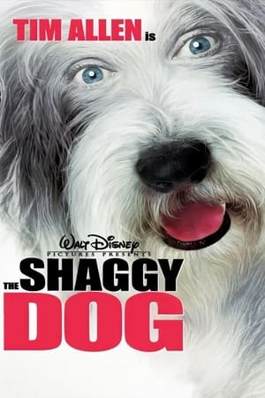 The Shaggy Dog (2006) Hindi Dual Audio [950MB] HD Poster Download - filmyfly